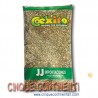 Semi di chia