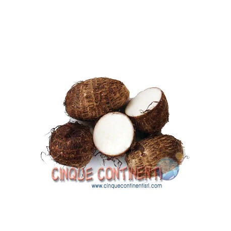 Ocumo / yautia / malanga