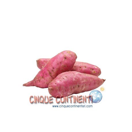 Batata blanca