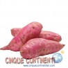 Batata blanca