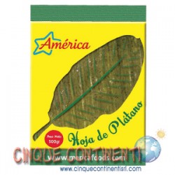 Foglie di platano